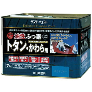 Tf[yCgbSUNDAY PAINT SPtbfg^ p XJCu[ 7K