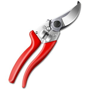 AXR[|[VbARS uCGCgv V-8PRO