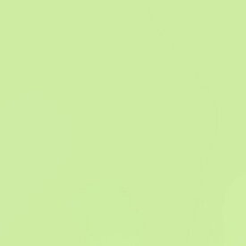 トーヨー｜Toyo 単色おりがみ おりがみ 24cm（50枚） あさみどり 75113