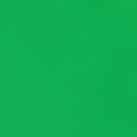 トーヨー｜Toyo 単色おりがみ おりがみ 24cm（50枚） みどり 75116