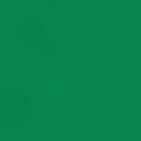 トーヨー｜Toyo 単色おりがみ おりがみ 24cm（50枚） あおみどり 75117