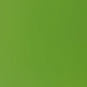 g[[bToyo PF肪 肪 24cmi50j I[u 75119