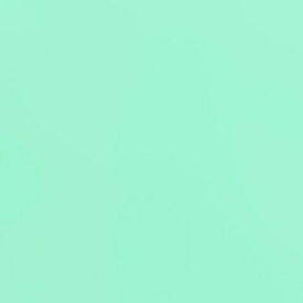 トーヨー｜Toyo 単色おりがみ おりがみ 24cm（50枚） うすみどり 75121