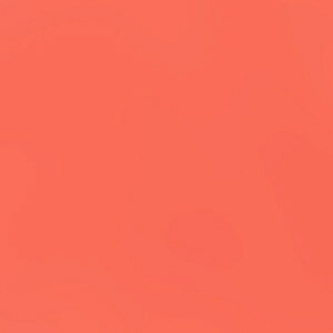 g[[bToyo PF肪 肪 24cmi50j [Y 75141