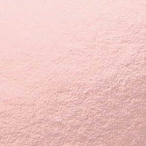 g[[bToyo PF肪 肪 35cmi50j  76161