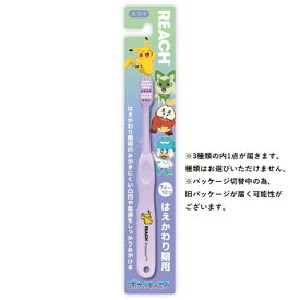 銀座ステファニー｜Ginza stefany REACH(リーチ)キッズ 子ども用歯ブラシ ポケモン はえかわり期用