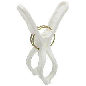 jV_bNishida NST2rbOƃs`Wol 8P zCg