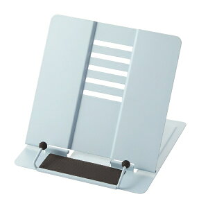 CCbRaymay Fujii kl ubNCg Cgu[ BM208H