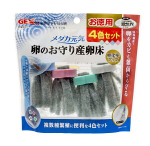 WFbNXbGEX _JĈY4FZbg4