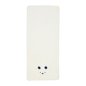 CB JapanbV[r[Wp JAj} oX^I VN} zCg(600×1200mm) zCg