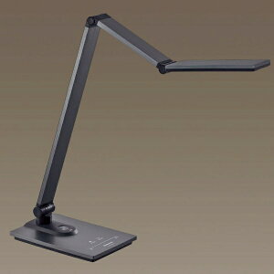 Panasonicbpi\jbN SQ-LD560-K X^hCg 950 lm _[NO[^bNd [LED /F]