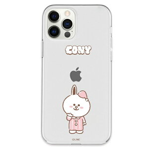 ROA�b���A iPhone 12 Pro Max 6.7�C���`�Ή�Dreamy Night CLEAR SOFT_CONY