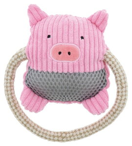 yeBIbPetio AhCg p ӂӂf^[vʂ Ԃ