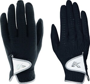 LXRbkasco yfB[X pzStO[u DNA SUEDE(21cm/ubN)SF2010LWyԕisz