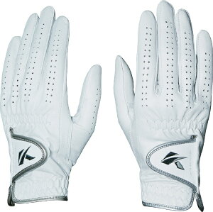 LXRbkasco yfB[X pzStO[u DNA SHEEP20cm/zCg)GF-2012LWyԕisz