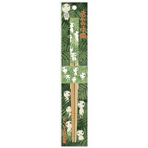 SkaterbXP[^[ |i21cmĵ̂P ANT4