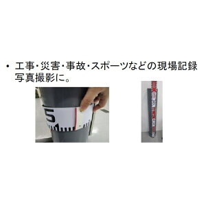 �V��������bShinwa Rules �V���� ���b�h�e�[�v �V���� 77104