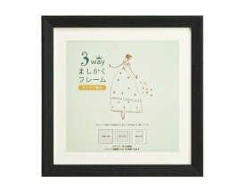 万丈｜VANJOH 3WAYましかくフレーム 15角 ブラック 3SQFR-15BK