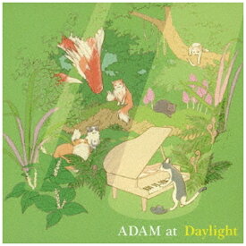 ビクターエンタテインメント｜Victor Entertainment ADAM at/ Daylight【CD】 【代金引換配送不可】