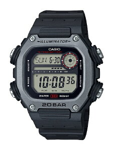 CASIO�b�J�V�I �X�^���_�[�h�E�H�b�` �u�J�V�I �R���N�V�����v DW-291H-1AJF
