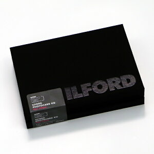 ILFORDbCtH[h kCNWFbgltHgJ[h OX 250m [KGTCY /50] 433169