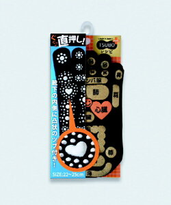 O}bmikasa fB[X TSUBOVsPLUS ʑ5{w\bNX wlTCY(22`25cm/ubN) 3303113