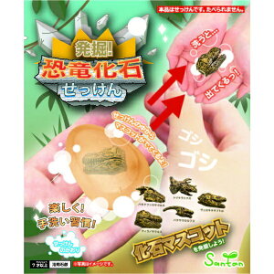 T^bSantan 601-8495 @I΂