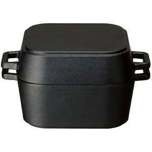 CVKLYƁbISHIGAKI fbVCtR XNGA_b` 4234 QDL0401