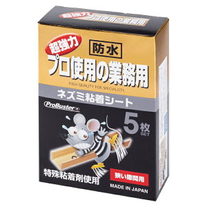 SHIMADAbV}_ vgpƖphԗp 5