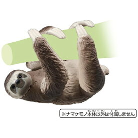 楽天市場 ミユビナマケモノの通販