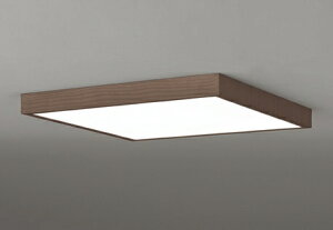 yGg[ōőSz|CgҌb11/5z I[fbNbODELIC FLEDV[OCg OL291519BR [12 /F`dF]