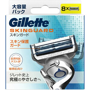 WbgbGillette GilletteiWbgjXLK[h}jA֐n8yrb_09dnz