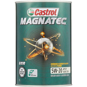 JXg[bCastrol Magnatec 5W-20 1L 0120010