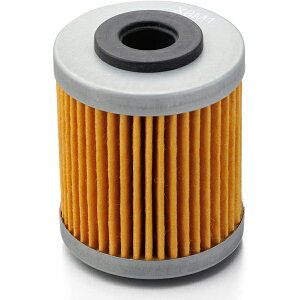 fCgibDAYTONA vCX ICtB^[ KTMn 790DUKE(18)  21055