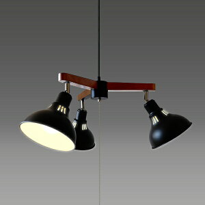 ZbTAKIZUMI LEDVfA LEDdt@dF GL3065CHBK [4.5 /dF]