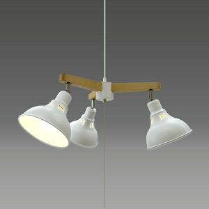 ZbTAKIZUMI LEDy_gCg LEDdt@dF GL3065CHWH [E26]