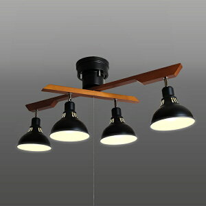 ZbTAKIZUMI bhX|bg dʔ@dF DN4021RSBK [dF]