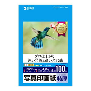 �T�����T�v���C�bSANWA SUPPLY �k�C���N�W�F�b�g�l�ʐ^��掆�E���� 0.26mm [L�� /100��] JP-EP2NLN