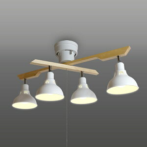 ZbTAKIZUMI LEDbhX|bg LEDdt@dF GL4020RSWH [6 /dF]ynewlife_campaign_gz