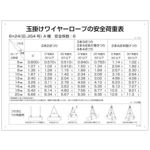 {Ώ\bJAPAN GREEN CROSS Ώ\N[֌WWʊ|C[[v̈S׏d\KY?200450×600mmr 084200
