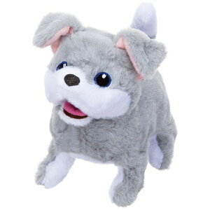 CbIWAYA gDCNACYps[ieAj