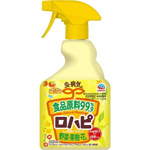 _ A[XK[f nsi500mLjA[XbEarth