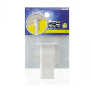 �I�[���d�@�bOHM ELECTRIC ���[���p�g�b�v2�� �� �z���C�g DZ-FMT2W