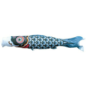 îڂbTOKUNAGA KOINOBORI îڂ FT Pi  1.2m