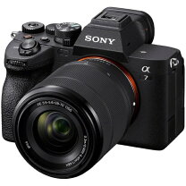 楽天市場】α7ivの通販