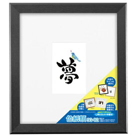 HAKUBA｜ハクバ 色紙額 SG-02 ブラック FWSG-02BK
