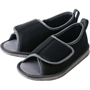 |ՁbTaketora ]|\hV[Y ܐȂ ubNLL 91295