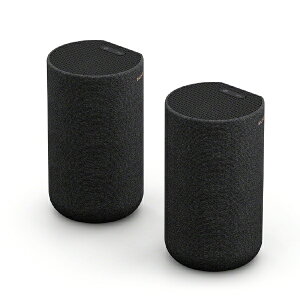 SONYb\j[ AXs[J[iHTA7000Ήj SA-RS5