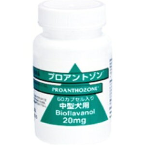 bKyoritsu Seiyaku vAg] p 20mg 60