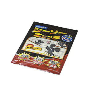 m}EX ˂ݕߊl V[\[Lb` XNZ1001